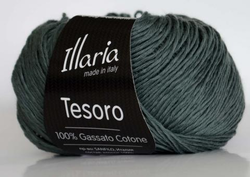 Illaria 